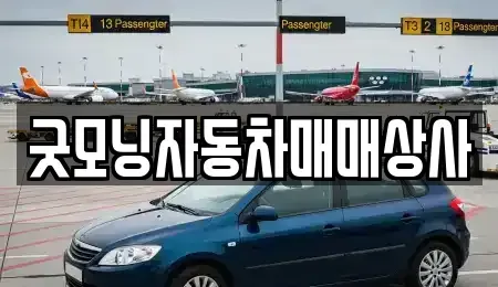 경상남도 고성군 거류면 중고차 전문 굿모닝자동차매매상사