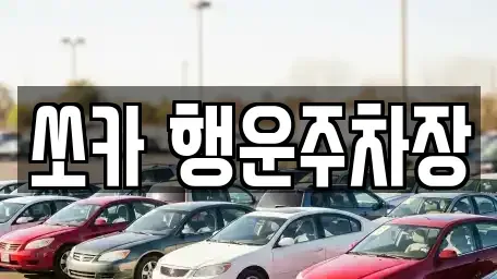 경상남도 밀양시 상남면 렌트카 전문 쏘카 행운주차장