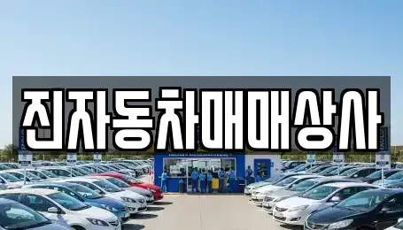경상남도 밀양시 상남면 중고차 전문 진자동차매매상사