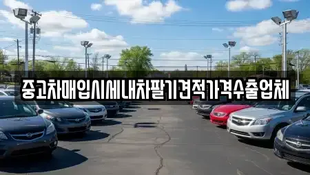 경상남도 밀양시 상남면 중고차매입 전문 중고차매입시세내차팔기견적가격수출업체