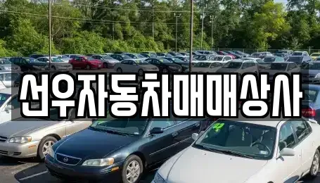 경상남도 사천시 용강동 중고차매매 전문 선우자동차매매상사