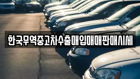 경상남도 사천시 용강동 중고차매입 전문 한국무역중고차수출매입매매판매시세