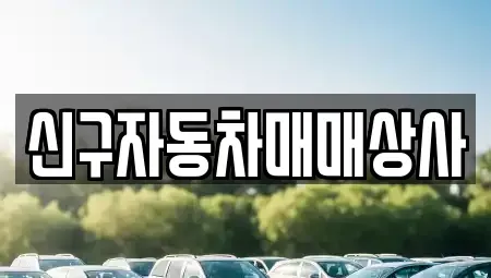 경상남도 산청군 신안면 중고차매매 전문 신구자동차매매상사