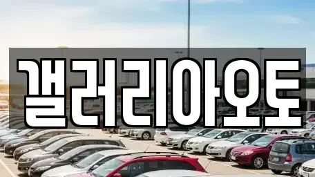 경상남도 진주시 옥봉동 중고차 전문 갤러리아오토