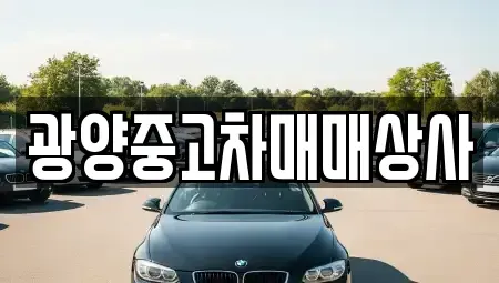 경상남도 진주시 옥봉동 중고차,렌트카,중고차매입,중고차매매,장기렌트카,단기렌트카