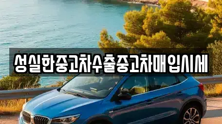 경상남도 진주시 충무공동 중고차매입 전문 성실한중고차수출중고차매입시세