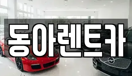 경상남도 창원시 마산합포구 동성동 렌트카 전문 동아렌트카