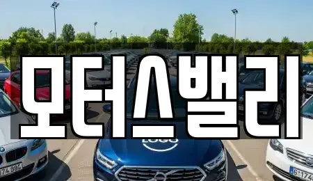 경상남도 창원시 마산합포구 동성동 중고차 전문 모터스밸리
