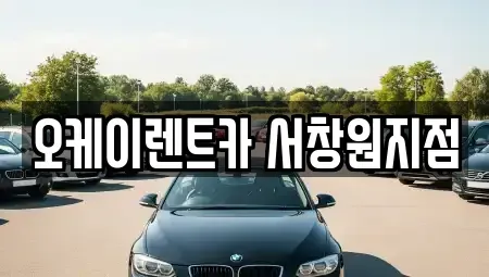 경상남도 창원시 마산합포구 상남동 렌트카 전문 오케이렌트카 서창원지점