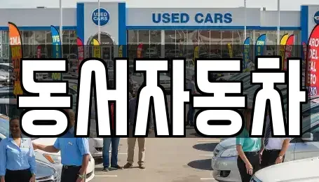 경상남도 창원시 마산합포구 상남동 중고차 전문 동서자동차