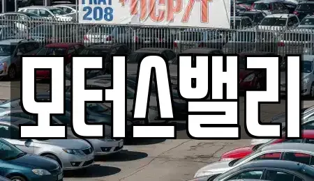 경상남도 창원시 마산합포구 상남동 중고차 전문 모터스밸리