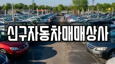 경상남도 창원시 마산합포구 상남동 중고차 전문 신구자동차매매상사