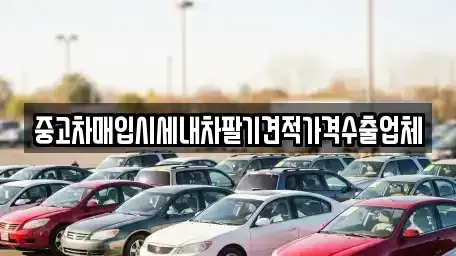 경상남도 창원시 마산합포구 상남동 중고차매입 전문 중고차매입시세내차팔기견적가격수출업체