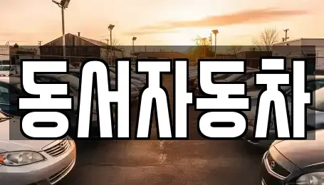 경상남도 창원시 마산합포구 월남동4가 중고차 전문 동서자동차