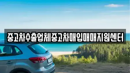 경상남도 창원시 마산합포구 월남동4가 중고차 전문 중고차수출업체중고차매입매매지원센터