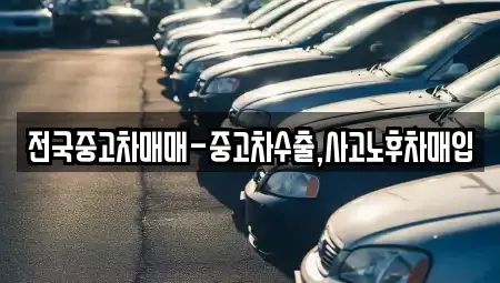 경상남도 창원시 마산합포구 월포동 중고차매입 전문 전국중고차매매-중고차수출,사고노후차매입