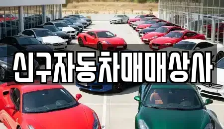 경상남도 창원시 성산구 반림동 중고차 전문 신구자동차매매상사