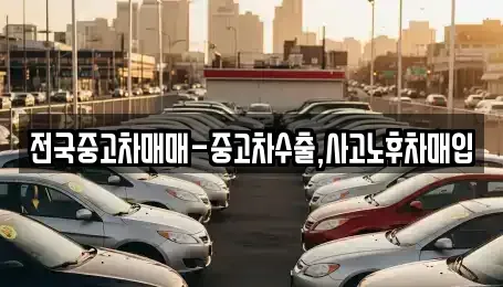 경상남도 창원시 진해구 근화동 중고차매입 전문 전국중고차매매-중고차수출,사고노후차매입