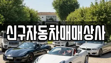 경상남도 창원시 진해구 동상동 중고차매매 전문 신구자동차매매상사