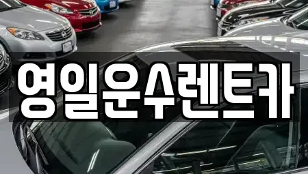 경상남도 합천군 대양면 렌트카 전문 영일운수렌트카