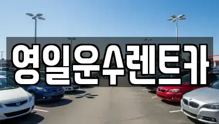 경상남도 합천군 대양면 렌트카 전문 영일운수렌트카