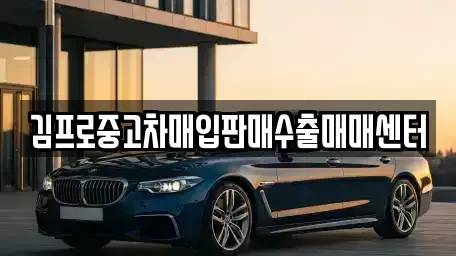 경상남도 합천군 대양면 중고차 전문 김프로중고차매입판매수출매매센터