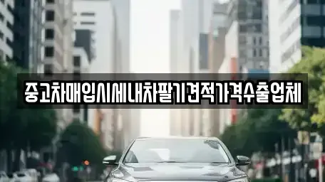 경상남도 합천군 대양면 중고차매입 전문 중고차매입시세내차팔기견적가격수출업체