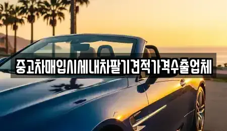 경상북도 경산시 조영동 중고차 전문 중고차매입시세내차팔기견적가격수출업체