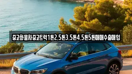 경상북도 경산시 조영동 중고차 전문 중고화물차중고트럭1톤2.5톤3.5톤4.5톤5톤매매수출매입