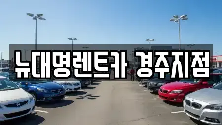 경상북도 경주시 렌트카 전문 뉴대명렌트카 경주지점