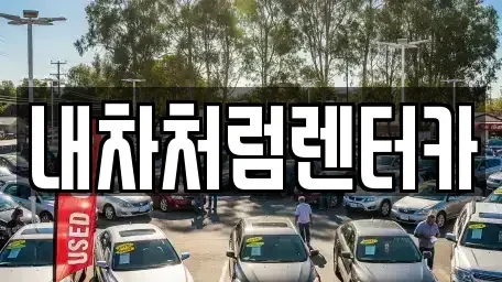 경상북도 고령군 성산면 렌트카 전문 내차처럼렌터카