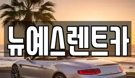 경상북도 고령군 성산면 렌트카 전문 뉴예스렌트카