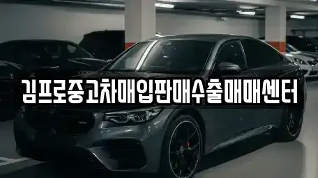 경상북도 고령군 성산면 단기렌트카,중고차매입,중고차매매,중고차,렌트카,장기렌트카