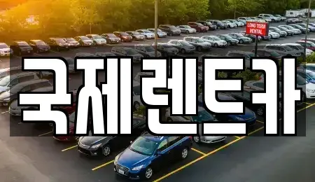 경상북도 구미시 봉곡동 렌트카 전문 국제렌트카