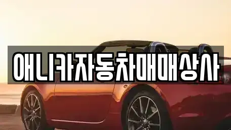 경상북도 구미시 봉곡동 중고차 전문 애니카자동차매매상사