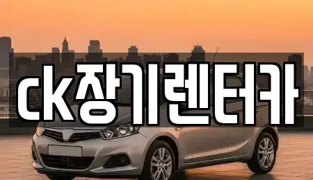 경상북도 김천시 삼락동 렌트카 전문 ck장기렌터카