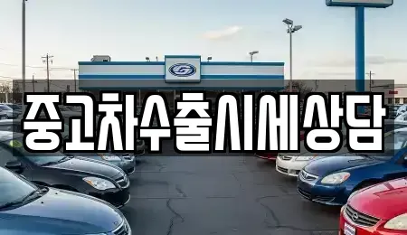 경상북도 문경시 영순면 중고차 전문 중고차수출시세상담
