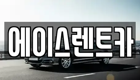 경상북도 상주시 낙양동 렌트카 전문 에이스렌트카