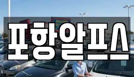 경상북도 상주시 죽전동 렌트카 전문 포항알프스