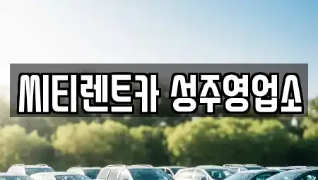 경상북도 성주군 성주읍 렌트카 전문 씨티렌트카 성주영업소