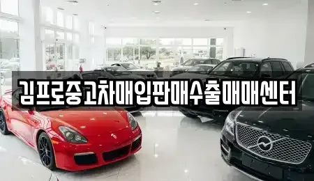 경상북도 성주군 성주읍 중고차 전문 김프로중고차매입판매수출매매센터