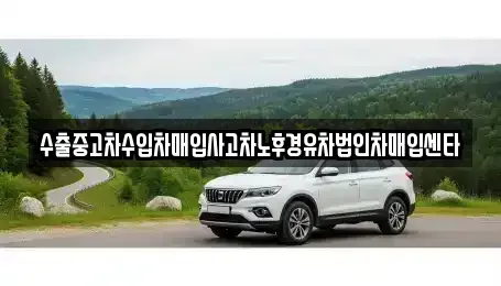 경상북도 성주군 성주읍 중고차매입 전문 수출중고차수입차매입사고차노후경유차법인차매입센타