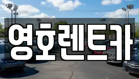 경상북도 안동시 서후면 렌트카 전문 영호렌트카