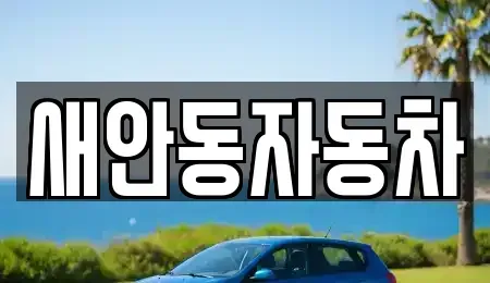 경상북도 안동시 서후면 중고차 전문 새안동자동차
