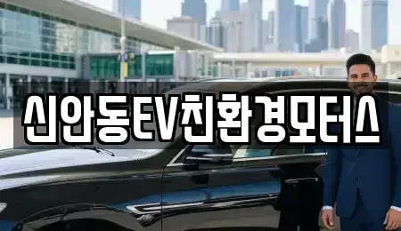 경상북도 안동시 서후면 중고차 전문 신안동EV친환경모터스