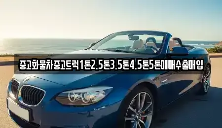경상북도 안동시 서후면 중고차매입 전문 중고화물차중고트럭1톤2.5톤3.5톤4.5톤5톤매매수출매입