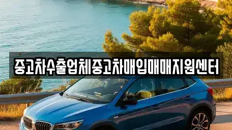경상북도 안동시 송현동 중고차매매 전문 중고차수출업체중고차매입매매지원센터