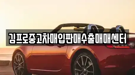 경상북도 안동시 송현동 중고차매입 전문 김프로중고차매입판매수출매매센터