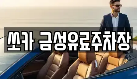 경상북도 안동시 신세동 렌트카 전문 쏘카 금성유료주차장