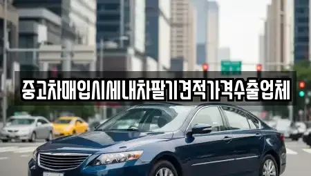 경상북도 안동시 신세동 중고차매입 전문 중고차매입시세내차팔기견적가격수출업체